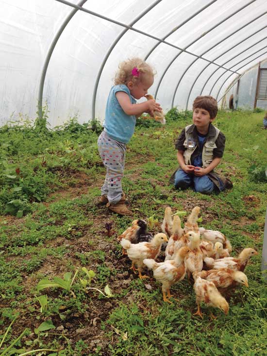 Daughter Iris shows a chick some love.